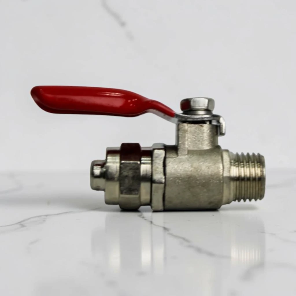 Ball Valve 10mm SS China