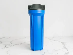 Axtron Water Filter Housing 3/4 10-Inch Blue Vietnam