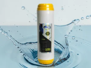 Axtron Cation Resin Filter