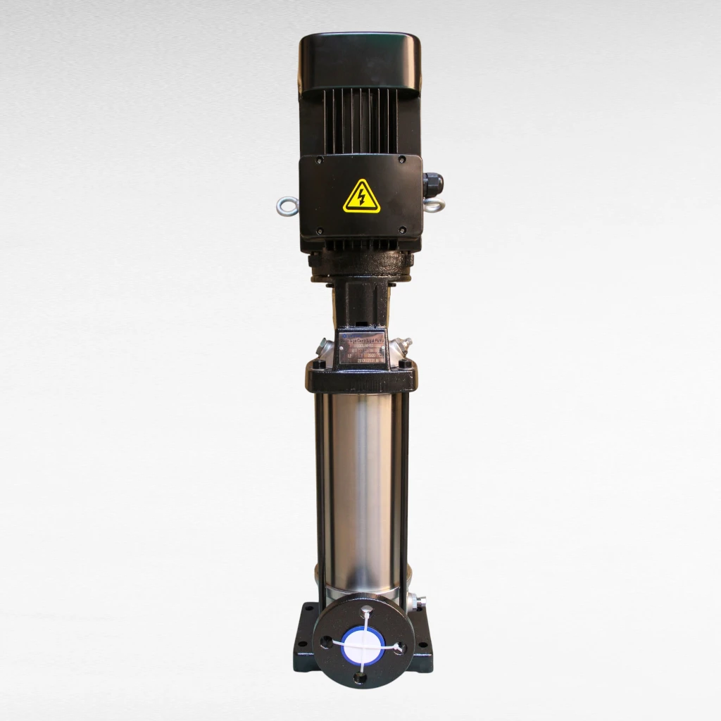 Pump Lyson 4×12 TP Multistage Vertical Centrifugal Pump